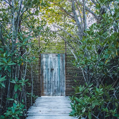 Nativus Glamping & Cenote Tulum