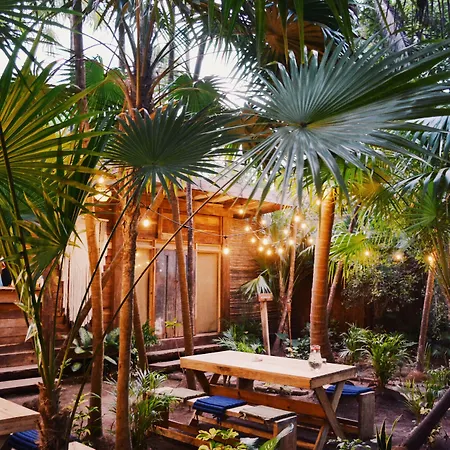 Nativus Glamping & Cenote 3*