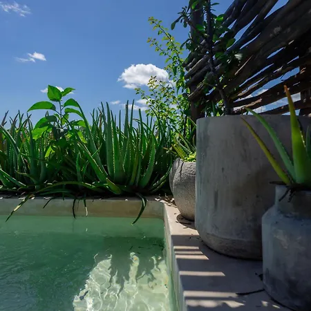 Teva Tulum, Aldea Zama Apartment