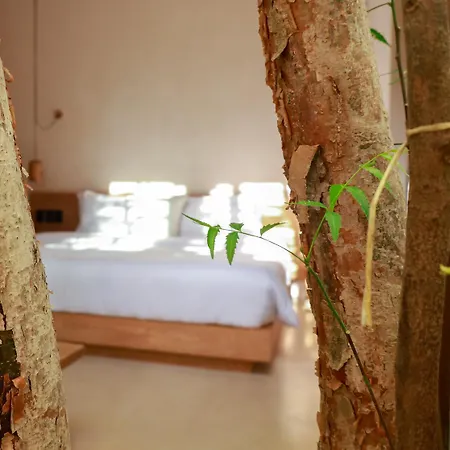 Teva Tulum, Aldea Zama