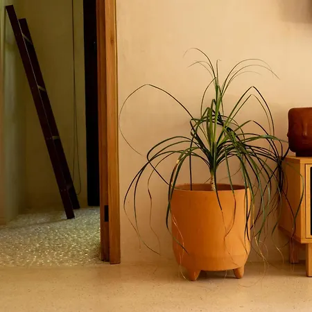 Apartment Teva Tulum, Aldea Zama *
