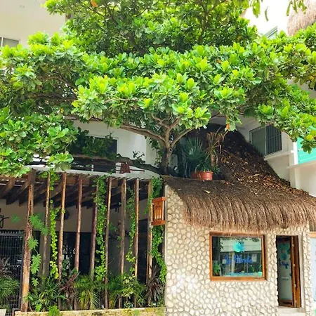 La Palmita By Mij Hotel 3*