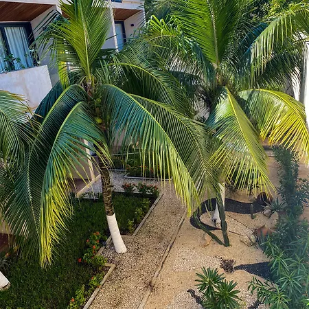 Moonshine & 3* Tulum