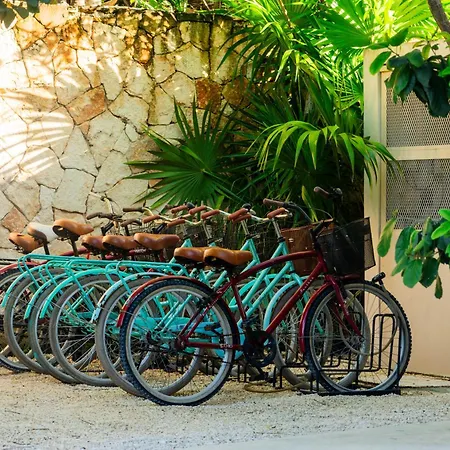 Teva Tulum, Aldea Zama Apartment *