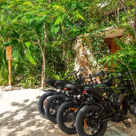 Teva Tulum, Aldea Zama Apartment Tulum