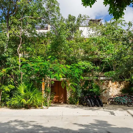 Teva Tulum, Aldea Zama
