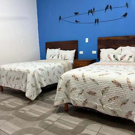 Casa Sardina Apartment