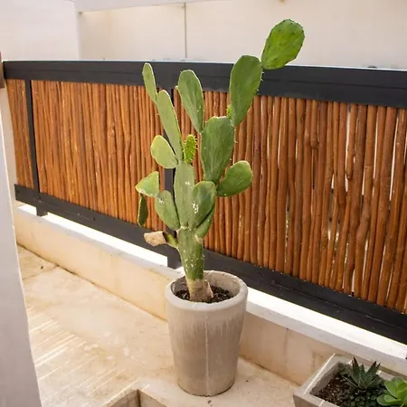 Apartment Nativa 4303 Lux 1br In Tulum