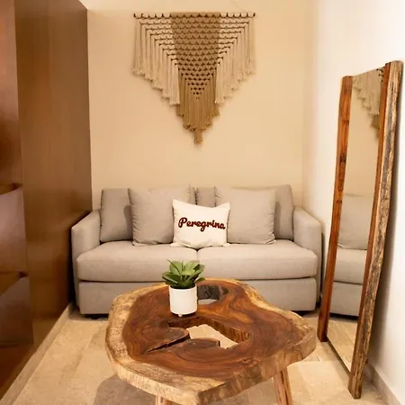 Peregrina 116 1br Luxury Apartamento