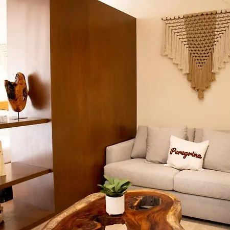 Apartamento Peregrina 116 1br Luxury *