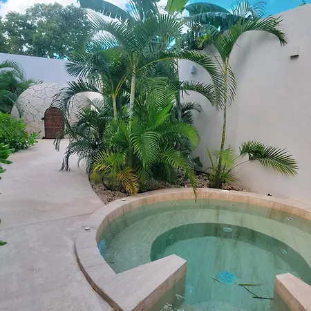 Apartamento Estudio Nuevo En 5 Minutos De La Playa Con Alberca Y Gym *