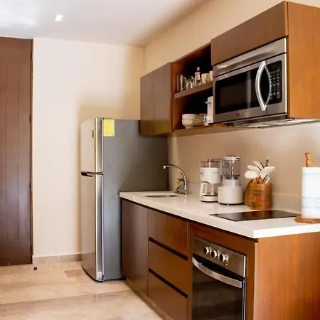 Peregrina 116 1br Luxury Apartamento *
