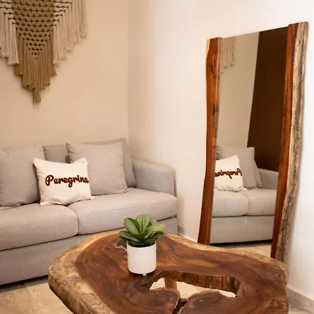 Peregrina 116 1br Luxury Apartamento