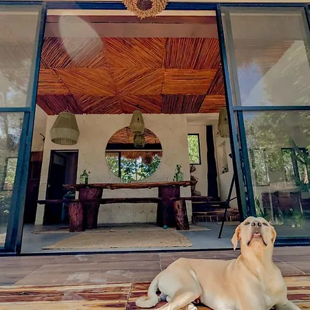 Curandero Villa Tulum