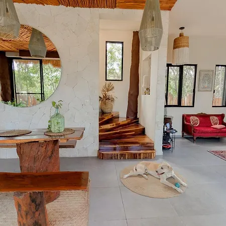 Curandero Villa Tulum