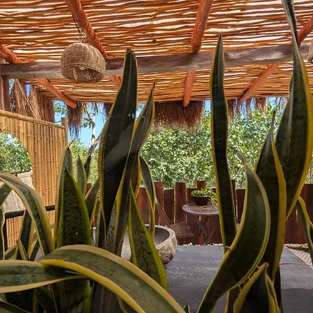 Curandero Villa Tulum