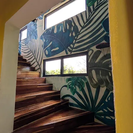 Curandero Villa