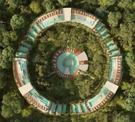Apartment Alof In The Jungle