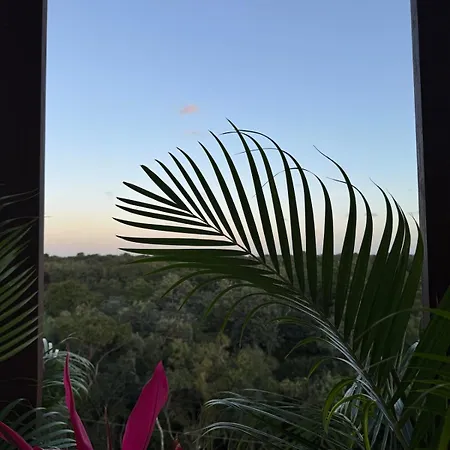 Apartment Alof In The Jungle Tulum