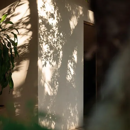 Naum - Secluded With Private Cenote * Tulum