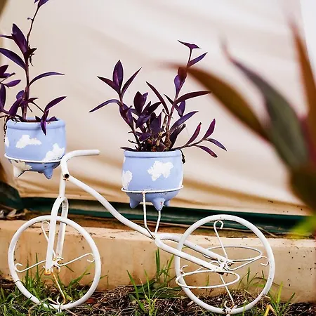Hotel Harmony Glamping Boutique And Yoga