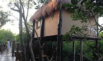 Manglex Eco Hotel Tulum