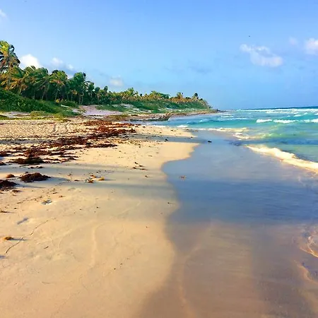 Charming Studio In The Heart Of Tulum, Mexico * Tulum