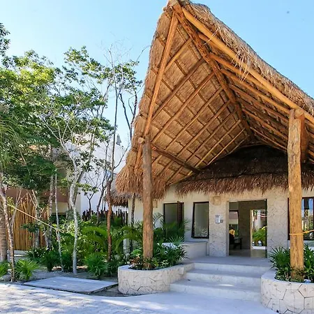Apartamento Complex With An Alluring Pool & Tropical Vibes By Stella Rentals! *
