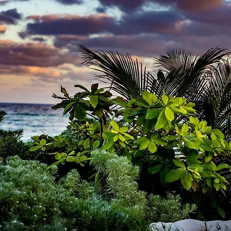 Maxa Camp Holiday park Tulum