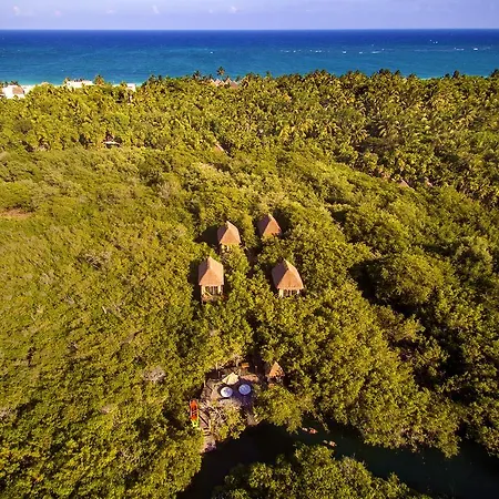 Manglex Eco Hotel Tulum Tulum