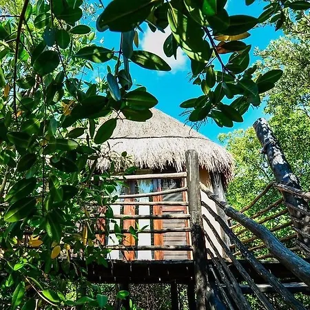 Manglex Eco Hotel Tulum Hotel