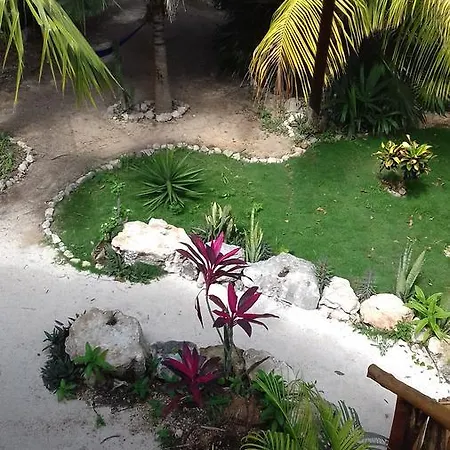 Zamunda Garden View