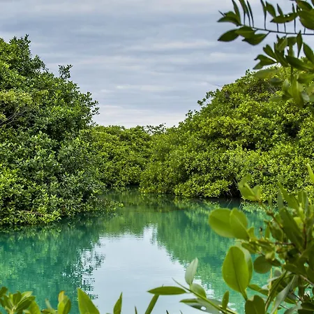 Cielo Maya Tulum