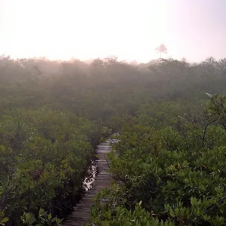 Nativus Glamping & Cenote Tulum