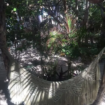 Agua Eco Design Hotel Hotel Tulum