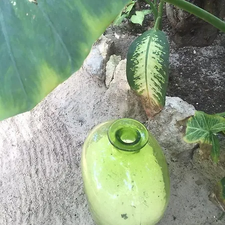Agua Eco Design Hotel Hotel