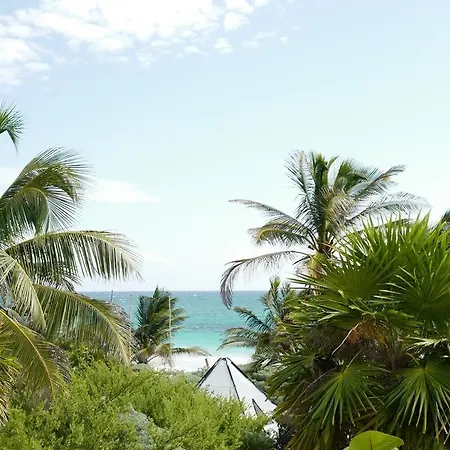 Maxa Camp Tulum