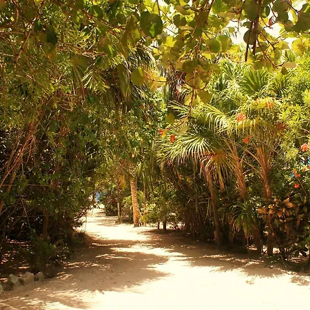 Cabanas La Luna