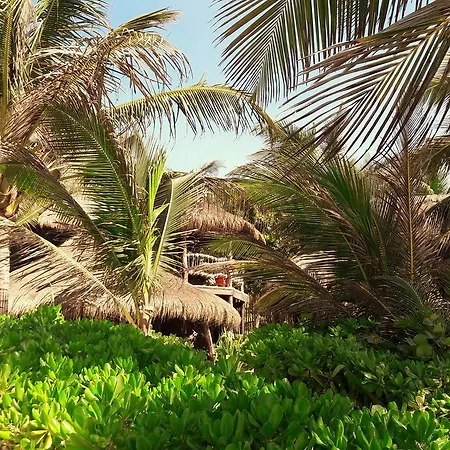 Cabanas La Luna Tulum