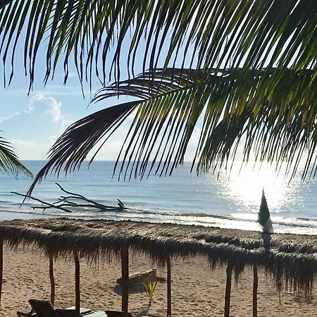 Agua Eco Design Hotel Hotel Tulum