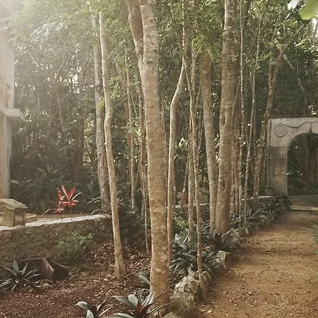 Villa No Name