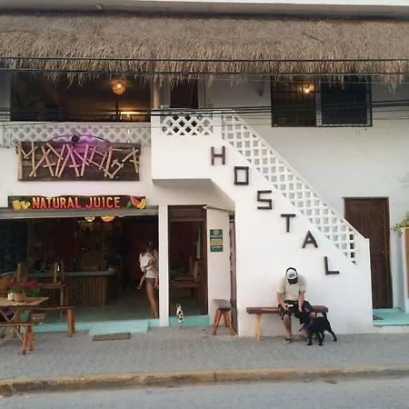 Guest house Mayayoga 2*