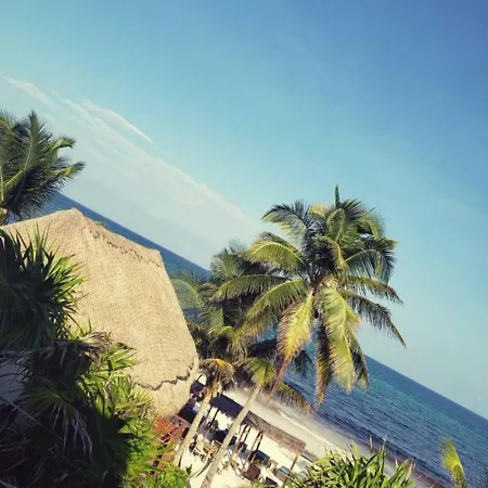 Hotel Agua Eco Design Hotel 4*
