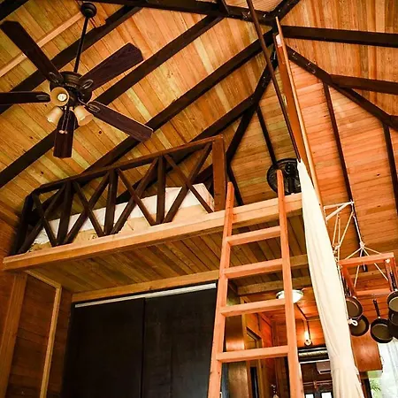 Alicat Villa Tulum