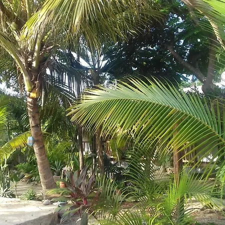 Zamunda Garden View 2*