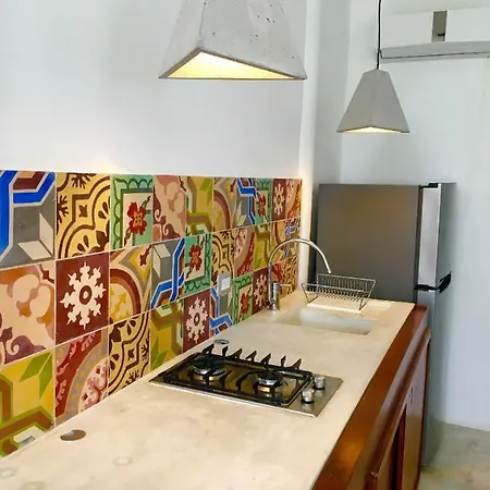 Apartment Designer Loft 1