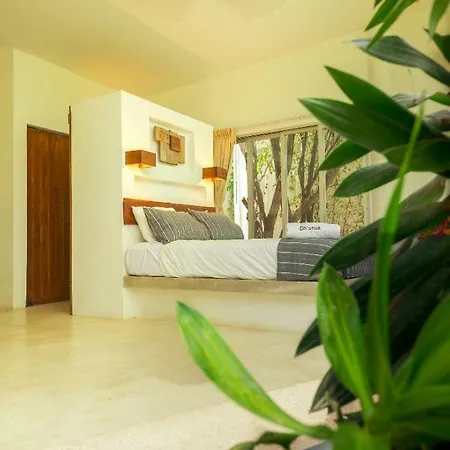 Apartment Designer Loft 1