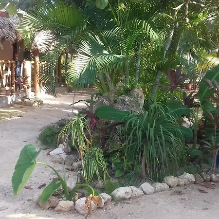 Zamunda Garden View Inn 2*