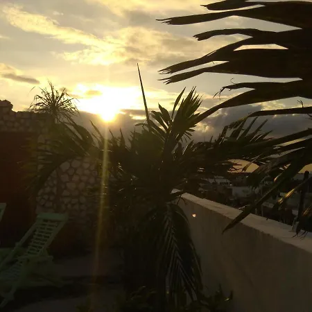 La Palmita By Mij