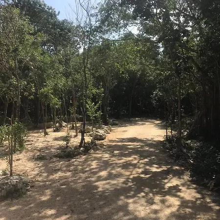 Campsite Nueve *